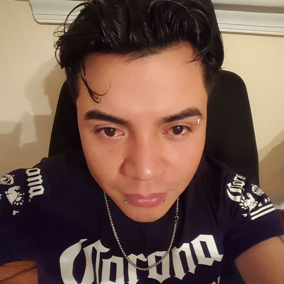 Meet your Posher, Oscar - Picture 1 of 1